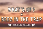 DJ Auxlord – What’s Up x Beez In The Trap