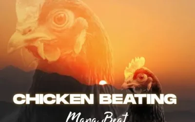 DJ Khalipha – Chicken Beating Mara Beat