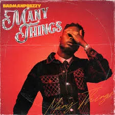 BadManPrezzy – Many Things