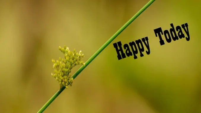 Baldwin Brederick – Cricket