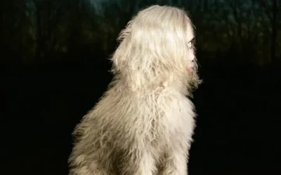 Juana Molina – DOGA (Album)