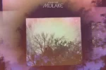 Midlake – A Bridge to Far (Album)