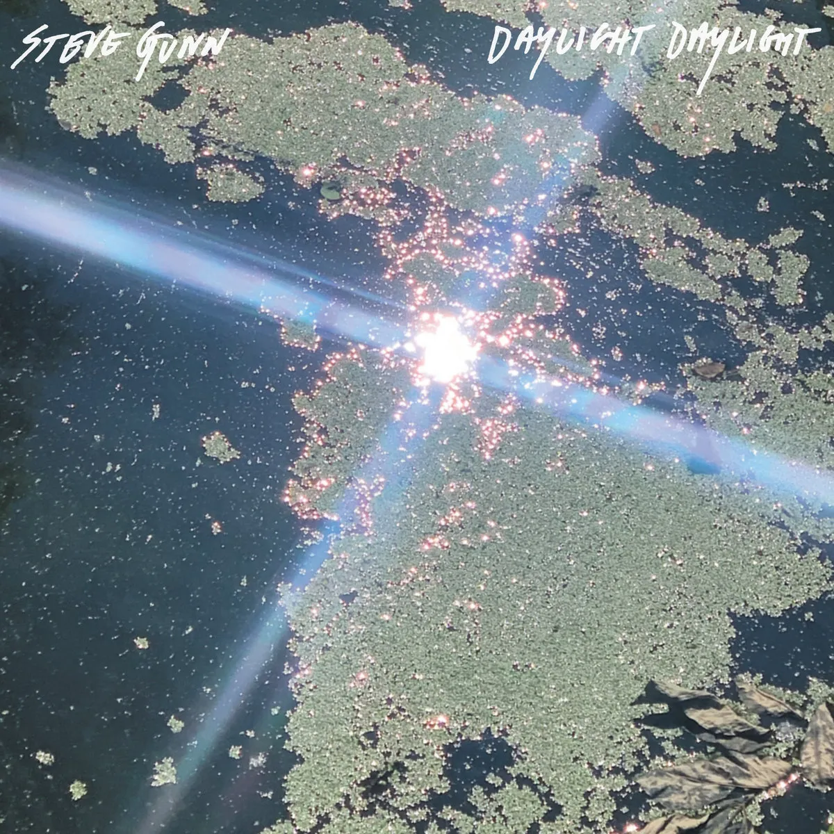 Steve Gunn - Daylight Daylight (Album)